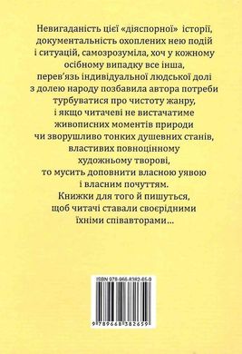 Петро Часто. Спостерігач. Роман